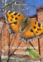 Обложка книги Испытание меня жизнью