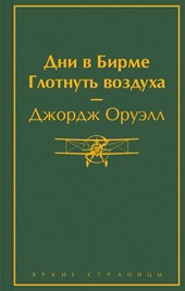 Обложка книги Дни в Бирме. Глотнуть воздуха