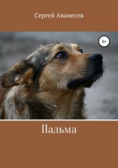 Обложка книги Пальма