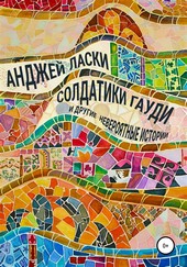 Обложка книги Солдатики Гауди и другие невероятные истории