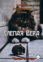 Обложка книги Слепая Вера