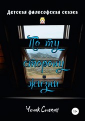 Обложка книги По ту сторону жизни