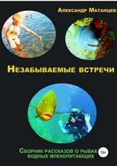 Обложка книги Незабываемые встречи. Сборник рассказов о рыбах и водных млекопитающих