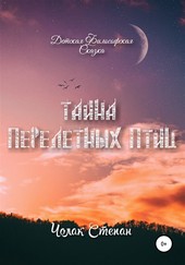 Обложка книги Тайна Перелётных Птиц