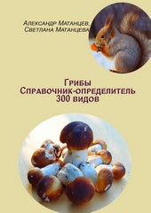 Обложка книги Грибы. Справочник-определитель 300 видов