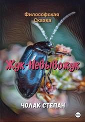 Обложка книги Жук-Невывожук