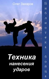 Обложка книги Техника нанесения ударов