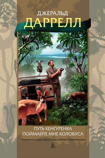 Обложка книги Путь кенгуренка. Поймайте мне колобуса
