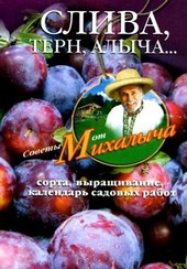Обложка книги Слива, терн, алыча... Сорта, выращивание, календарь садовых работ