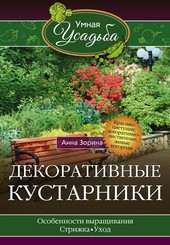 Обложка книги Декоративные кустарники