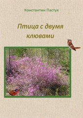 Обложка книги Птица с двумя клювами