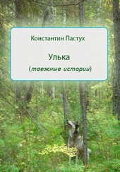 Обложка книги Улька