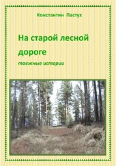 Обложка книги На старой лесной дороге