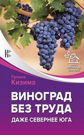 Обложка книги Виноград без труда. Даже севернее юга