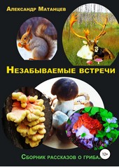 Обложка книги Незабываемые встречи. Сборник рассказов о грибах