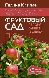 Обложка книги Фруктовый сад. Яблоня, вишня и слива
