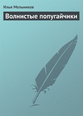 Обложка книги Волнистые попугайчики