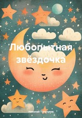 Обложка книги Любопытная звёздочка