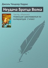 Обложка книги Неудача Братца Волка
