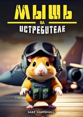 Обложка книги Мышь на истребителе