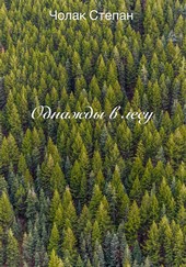 Обложка книги Однажды в лесу