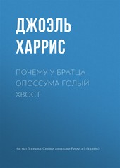 Обложка книги Почему у Братца Опоссума голый хвост