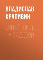 Обложка книги Синий город на Садовой