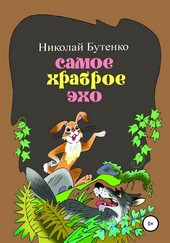 Обложка книги Самое храброе эхо