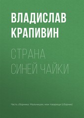 Обложка книги Страна Синей Чайки