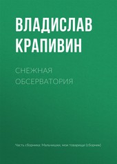 Обложка книги Снежная обсерватория