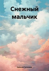 Обложка книги Снежный мальчик