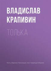 Обложка книги Толька