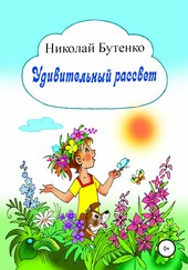 Обложка книги Удивительный рассвет