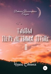 Обложка книги Тайна перелётных птиц 2