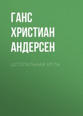 Обложка книги Штопальная игла