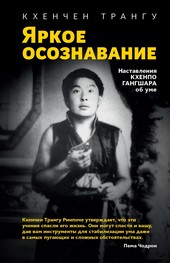 Обложка книги Яркое осознавание. Наставления Кхенпо Гангшара об уме