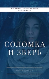 Обложка книги Соломка и Зверь