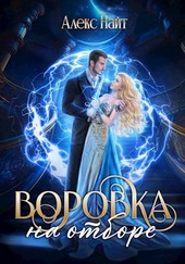 Обложка книги Воровка на отборе