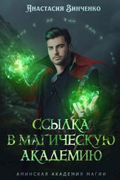 Обложка книги Ссылка в Магическую Академию