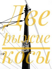 Обложка книги Две рыжие косы