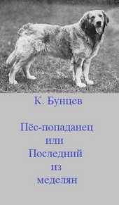 Обложка книги Пёс-попаданец, или Последний из меделян(анонс)