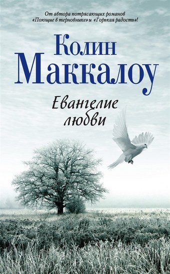 Обложка книги Евангелие любви